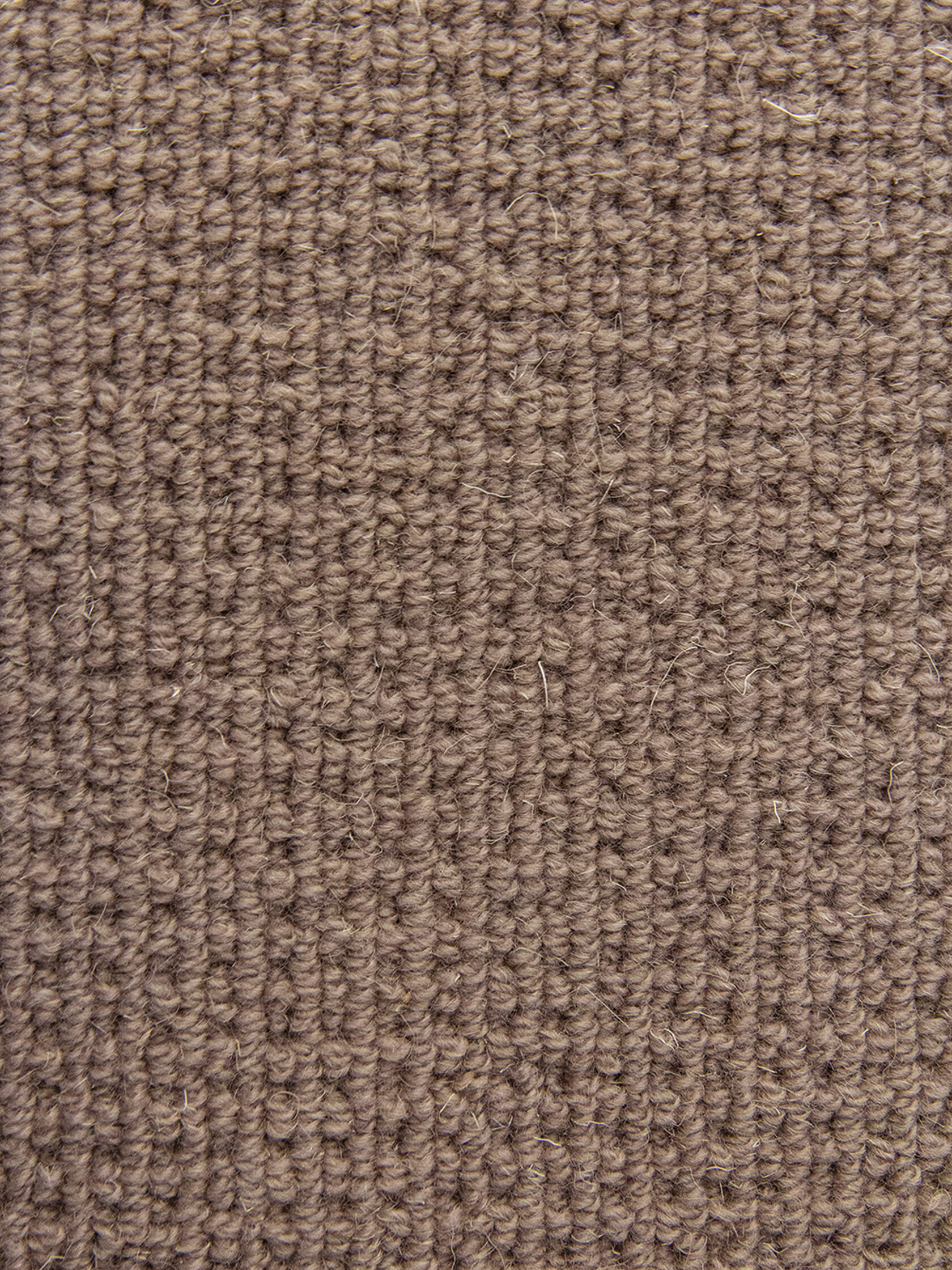 Ковровое покрытие "Bonkeel" Welfare Brown (ширина 4м) — купить в Орске