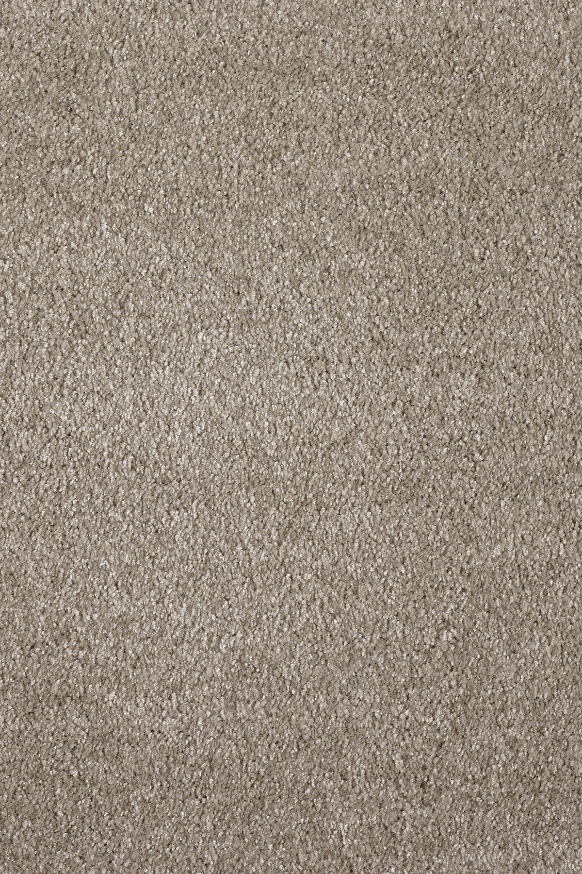 Ковровое покрытие "Bonkeel" Parana 34 (ширина 4м/5м) — купить в Орске