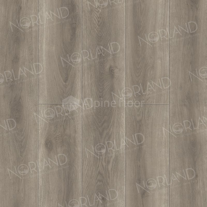 SPC Ламинат "Norland" Templet (1220*196*8 мм) — купить в Орске