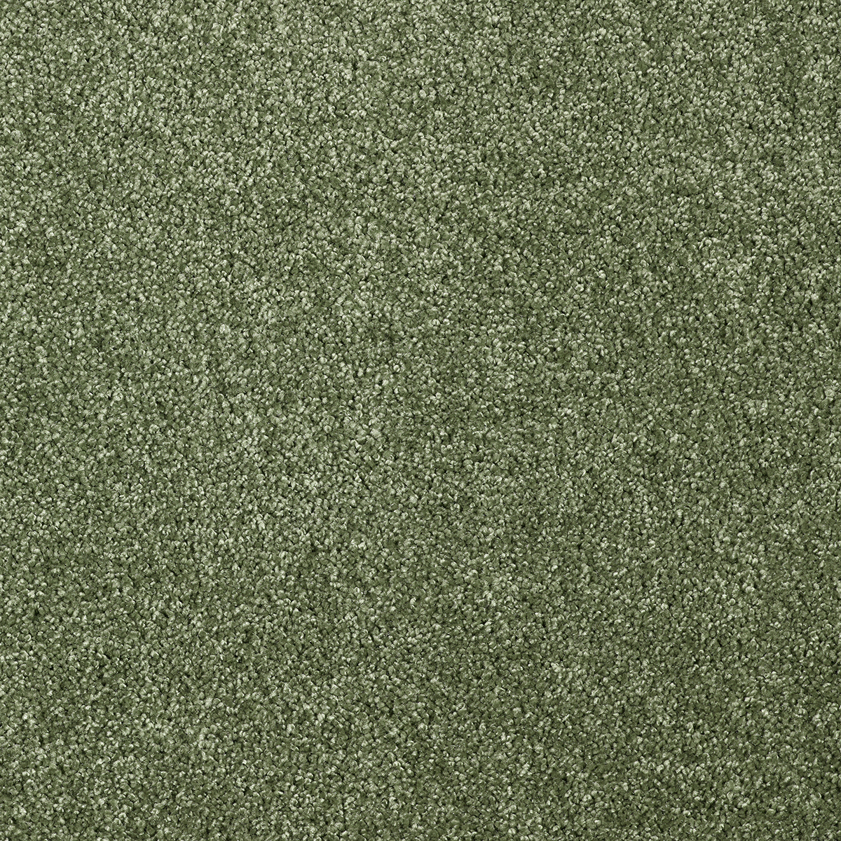 Ковровое покрытие "Bonkeel" Florida 24 (ширина 4м) — купить в Орске